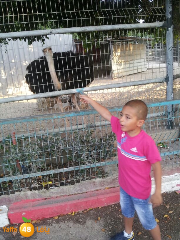 tokhy 3aysha825 (2).jpeg